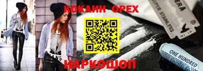 стафф Гатчина