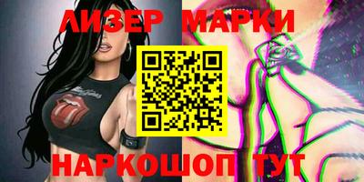 стафф Гатчина