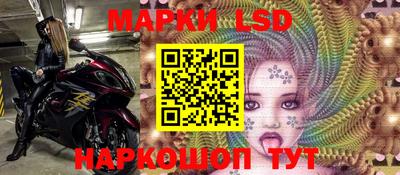 стафф Гатчина