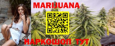 стафф Гатчина