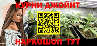 стафф Гатчина