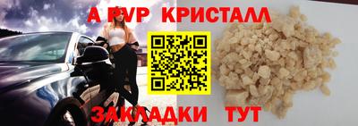 стафф Гатчина