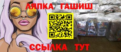 стафф Гатчина