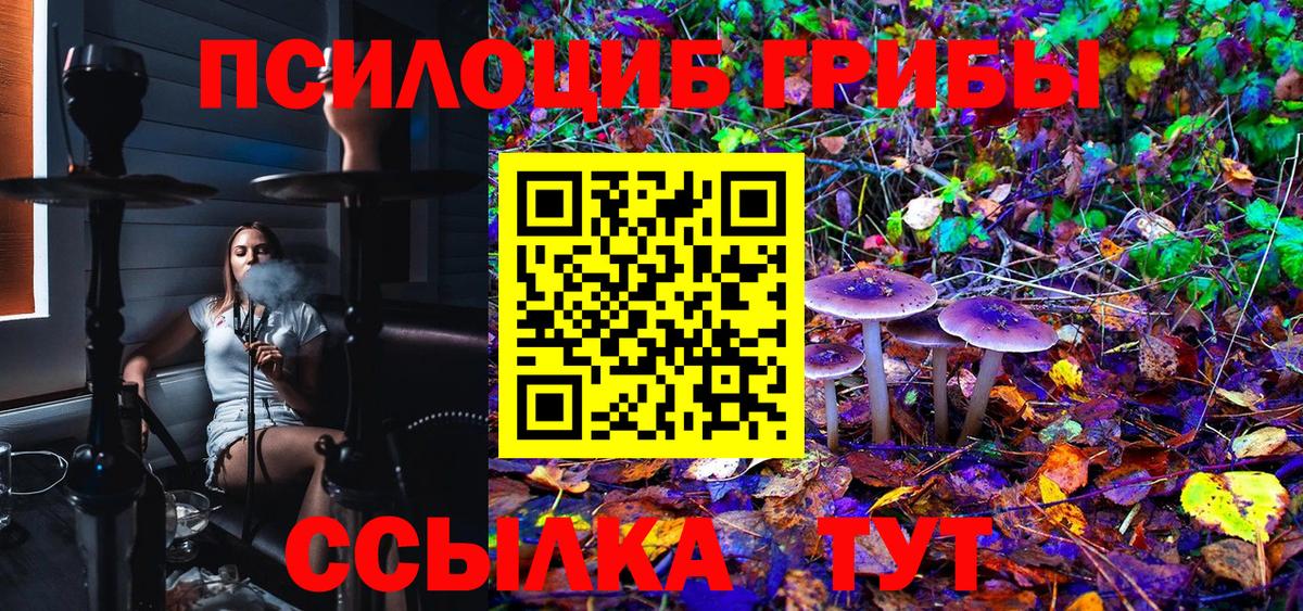 Галлюциногенные грибы Psilocybe Луховицы